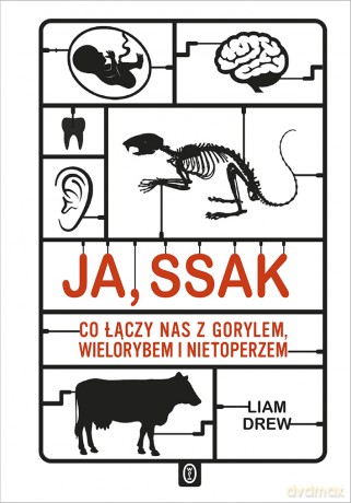 Ja, ssak. Co łączy nas z gorylem, wielorybem i nietoperzem [KSIĄŻKA]