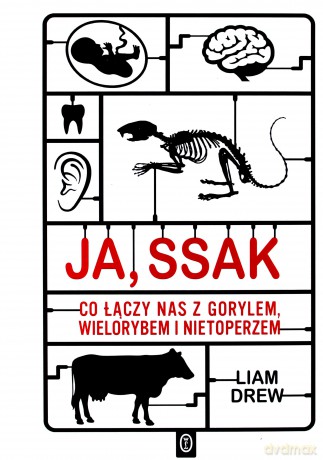 Ja, ssak. Co łączy nas z gorylem, wielorybem i nietoperzem [KSIĄŻKA]