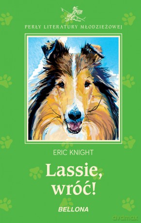 Lassie wróć [KSIĄŻKA]