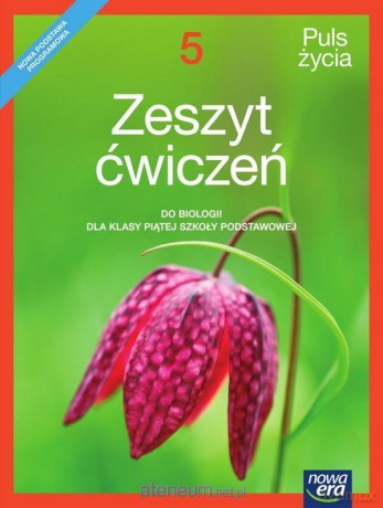 Biologia Szkoła podstawowa 5 Puls Życia ćwiczenie [KSIĄŻKA]