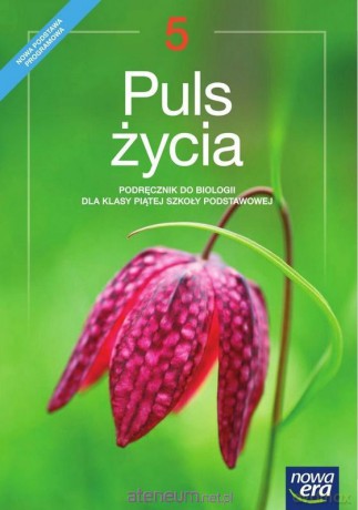 Biologia Szkoła podstawowa 5 Puls Życia Podręcznik [KSIĄŻKA]