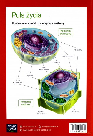 Biologia Szkoła podstawowa 5 Puls Życia Podręcznik [KSIĄŻKA]