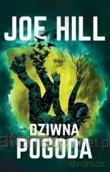Dziwna pogoda - Joe Hill [KSIĄŻKA]