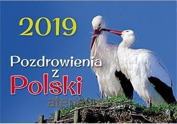 Kalendarz 2019 Ścienny - Pozdrowienia z Polski [KALENDARZ]