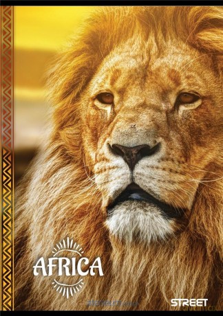 Zeszyt A6/40K Africa (10 szt)