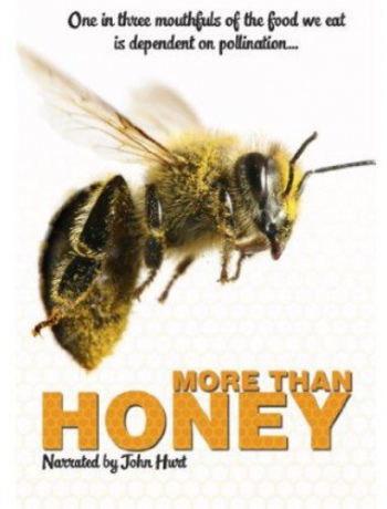 More Than Honey [DVD]