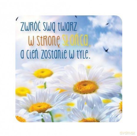 Magnes 087 Słońce