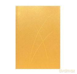 Notatnik Puro A6/128 kartek w linie Gold