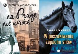 Pakiet literatura dla kobiet nr 8.3 - Elżbieta Wichrowska, Iwona Menzel [KSIĄŻKA]