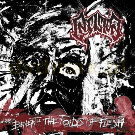 Insision: Beneath Thefolds Of Flesh [CD]