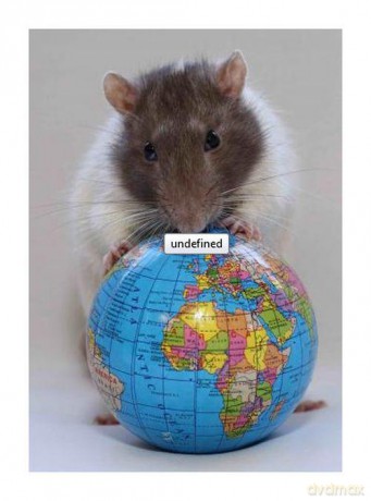 Pocztówka 3D MPS25 Earth Rat