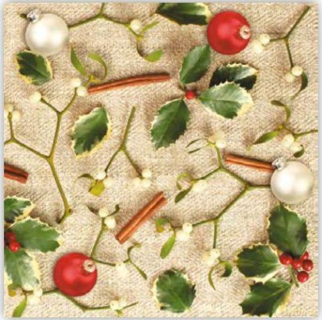 Serwetki 33 x 33 cm Boże Narodzenie SDGW 012401