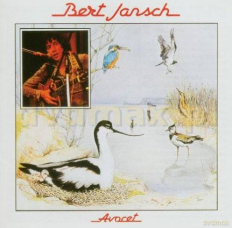 Bert Jansch: Avocet [CD]