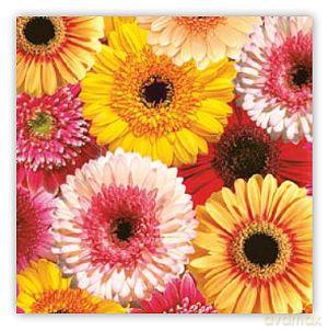Serwetki Daisy 33x33 cm SDOG 009401 Kwiaty