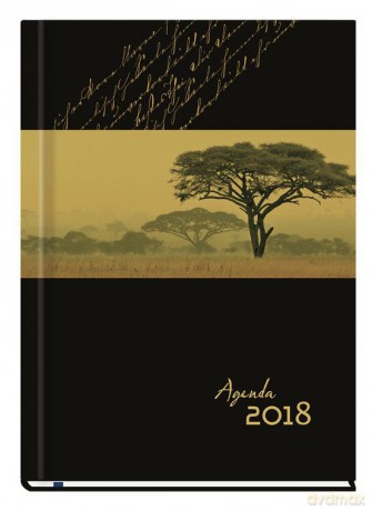Terminarz 2018 T-Agenda-01 [KALENDARZ]