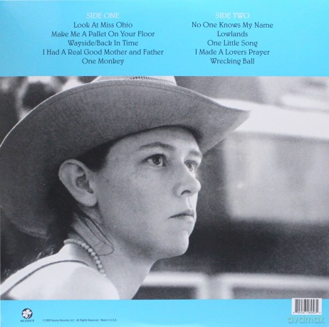 Gillian Welch: Soul Journey [Winyl]