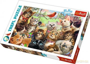 TREFL 260 el. - Kotki [PUZZLE]