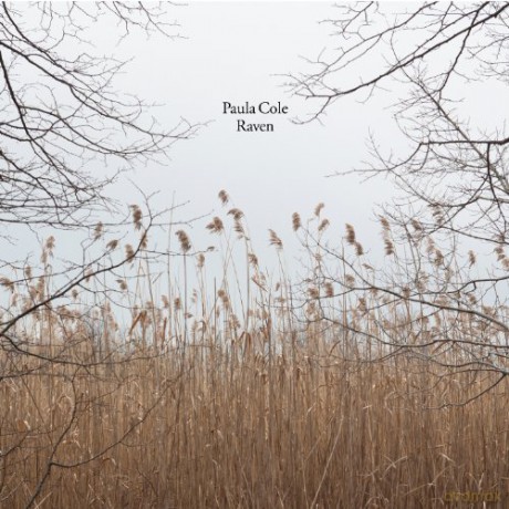 Paula Cole: Raven [CD]