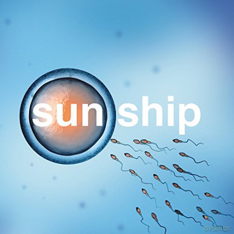 The Brian Jonestown Massacre: Sun Ship [Winyl]