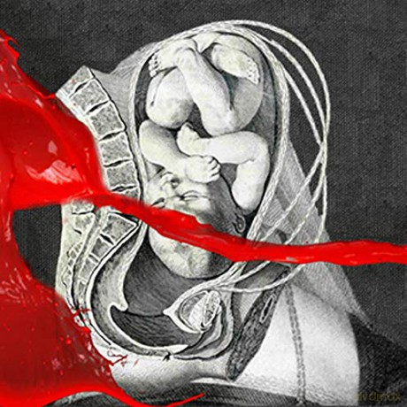 Iamx: The Unified Field [CD]