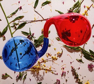 Dirty Projectors: Lamp Lit Prose [CD]
