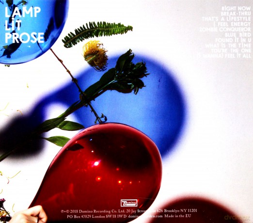 Dirty Projectors: Lamp Lit Prose [CD]