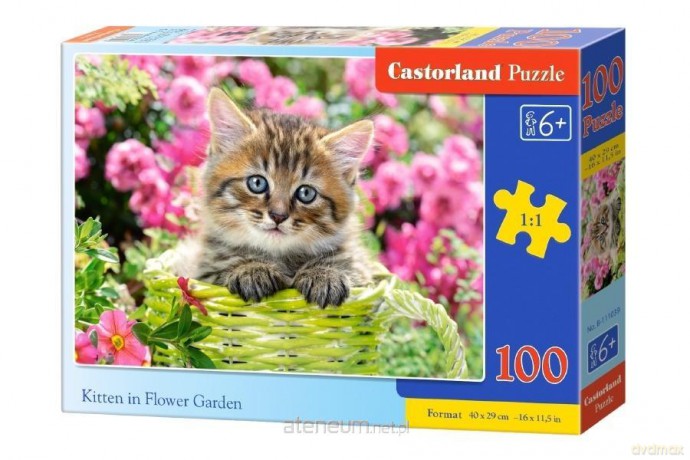 CASTORLAND 100 el. Kittens in Flower Garden [PUZZLE]