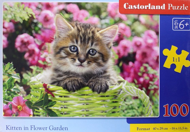CASTORLAND 100 el. Kittens in Flower Garden [PUZZLE]