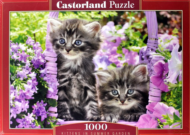 CASTORLAND 1000 el. Kittens in Summer Garden [PUZZLE]