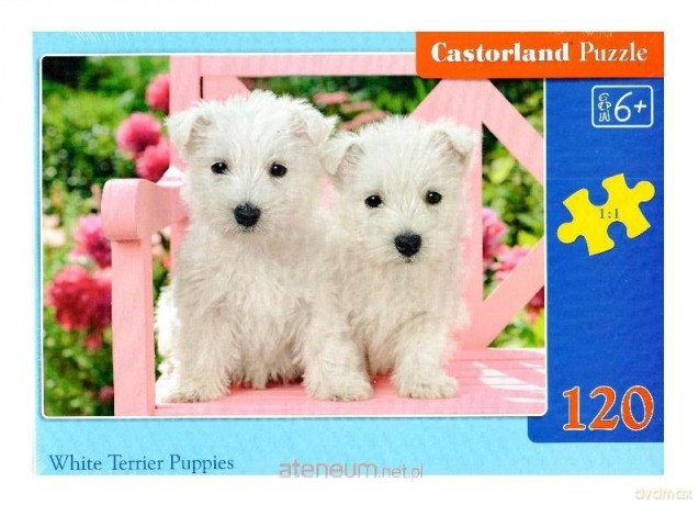 CASTORLAND 120 el. White Terrier Puppies [PUZZLE]