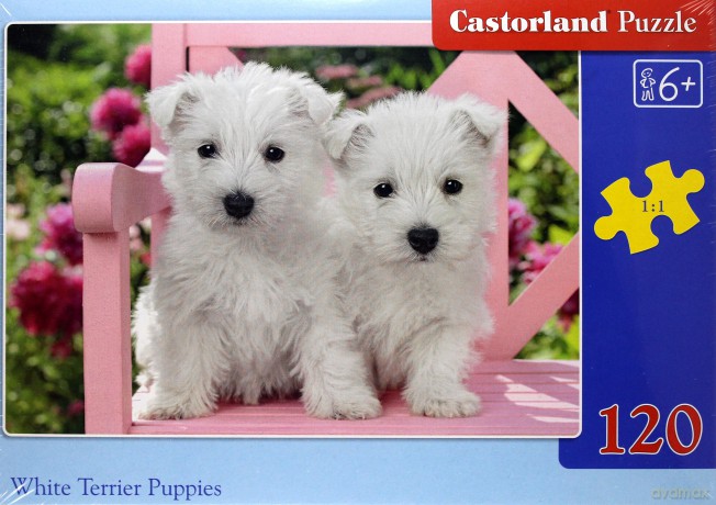 CASTORLAND 120 el. White Terrier Puppies [PUZZLE]
