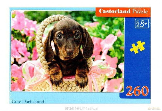 CASTORLAND 260 el. Cute Dachshund [PUZZLE]