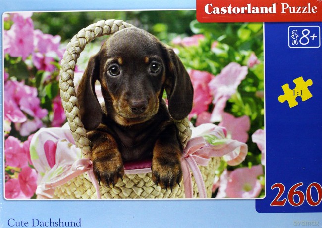 CASTORLAND 260 el. Cute Dachshund [PUZZLE]