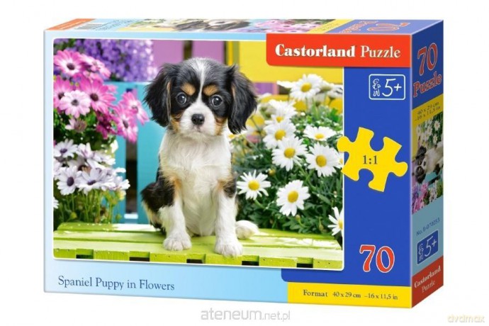 CASTORLAND 70 el. Spaniel in flowers [PUZZLE]