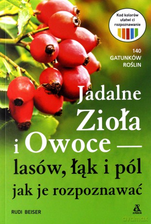 Jadalne zioła i owoce lasów, łąk i pól - Rudi Beiser [KSIĄŻKA]