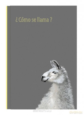 Notes Gee Llama 13,5x19,5