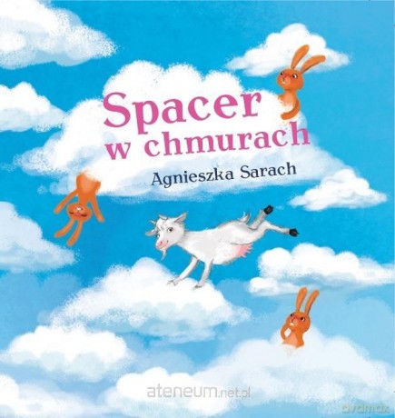 Spacer w chmurach - Agnieszka Sarach [KSIĄŻKA]