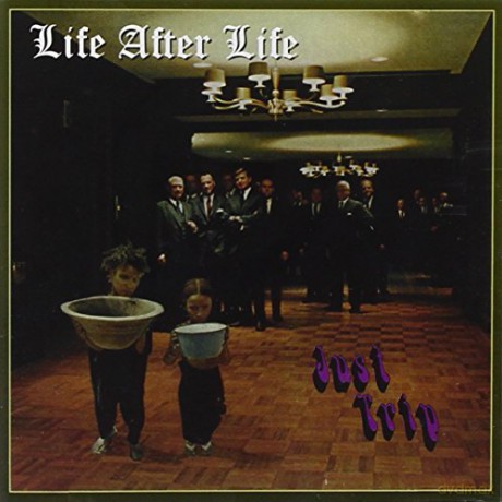 Life After Life: Just Trip [CD]