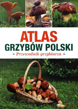 Atlas grzybów Polski. Poradnik grzybiarza [KSIĄŻKA]
