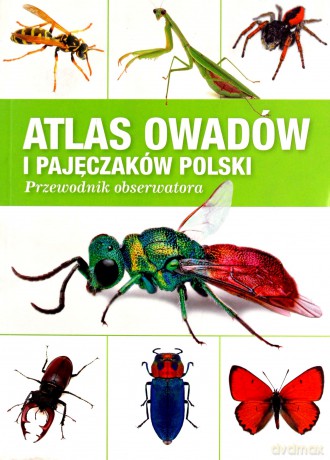 Atlas owadów i pajęczaków Polski. Przewodnik obserwatora [KSIĄŻKA]