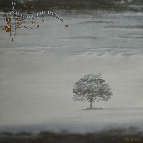 Genesis: Wind And Wuthering (Reissue 2018) [Winyl]