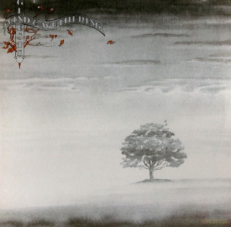 Genesis: Wind And Wuthering (Reissue 2018) [Winyl]