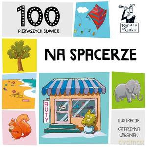 Kapitan Nauka. 100 pierwszych słówek. Na spacerze [KSIĄŻKA]