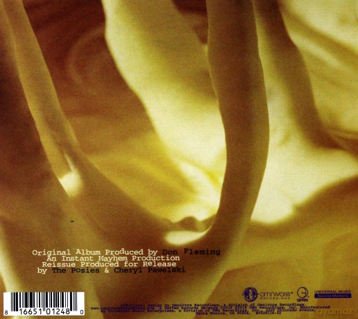 The Posies: Frosting On The Beater [2CD]