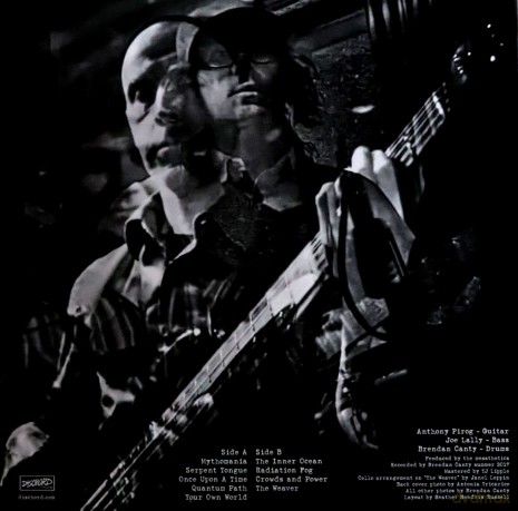 The Messthetics: The Messthetics [Winyl]