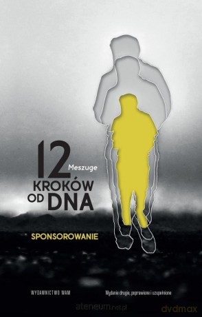 12 kroków od dna. Sponsorowanie - Meszuge [KSIĄŻKA]