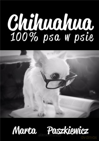 Chihuahua 100% psa w psie - Marta Paszkiewicz [KSIĄŻKA]