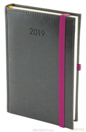 Kalendarz 2019 A5 Dzienny Nebraska z gumką Szary [KALENDARZ]