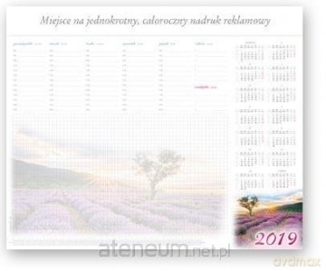 Kalendarz 2019 Biurowy Biuwar barwny BF4 [KALENDARZ]