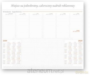 Kalendarz 2019 Biurowy Biuwar BF3 [KALENDARZ]